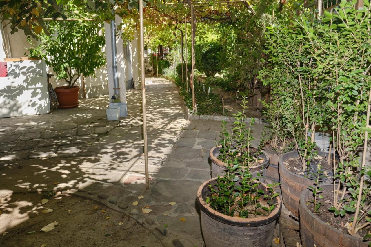 Mushrooms House Pleven Exterior photo